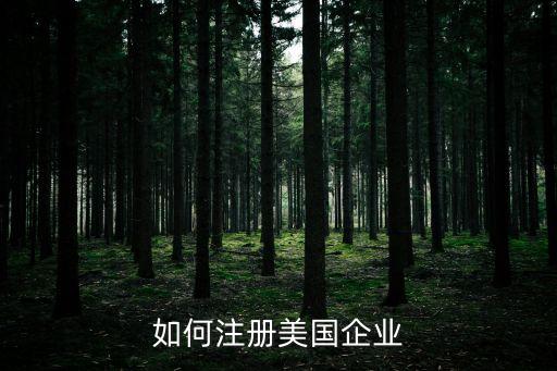 如何注冊美國企業(yè)