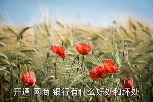 開通 網(wǎng)商 銀行有什么好處和壞處