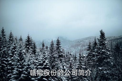 贛能股份的公司簡介