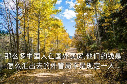 中國的財富轉移,中國財富轉移少數(shù)民企老板,與外企