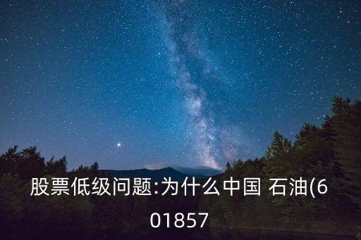 股票低級(jí)問題:為什么中國 石油(601857