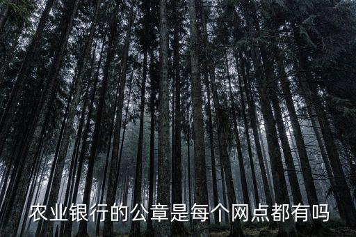  農(nóng)業(yè)銀行的公章是每個網(wǎng)點都有嗎