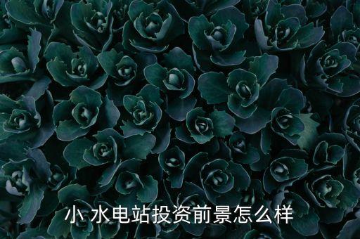 中國(guó)水電市場(chǎng),水電市場(chǎng)屬于什么市場(chǎng)