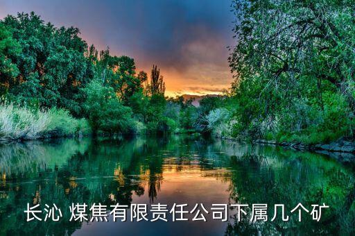 長(zhǎng)沁 煤焦有限責(zé)任公司下屬幾個(gè)礦