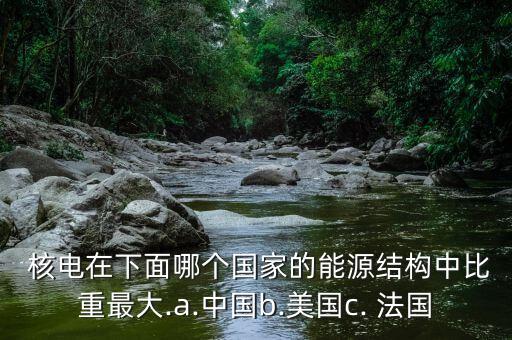 中國核電與法國核電,俄羅斯核電技術(shù)與法國核電技術(shù)水平