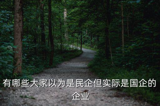 有哪些大家以為是民企但實(shí)際是國(guó)企的 企業(yè)