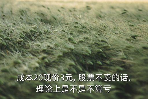 成本20現(xiàn)價(jià)3元, 股票不賣(mài)的話,理論上是不是不算虧