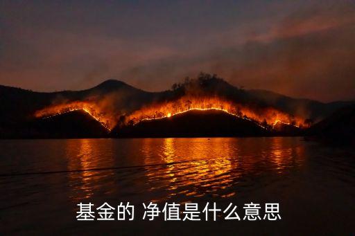 163114基金凈值,申萬環(huán)保基金163114