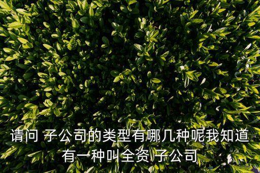 請(qǐng)問 子公司的類型有哪幾種呢我知道有一種叫全資 子公司