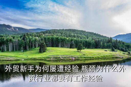 中國(guó)對(duì)外貿(mào)易的瓶頸問題,我國(guó)對(duì)外貿(mào)易發(fā)展的一大瓶頸是