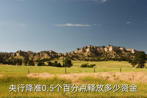 央行降準(zhǔn)0.5個百分點釋放多少資金