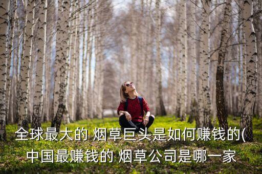全球最大的 煙草巨頭是如何賺錢的(中國最賺錢的 煙草公司是哪一家
