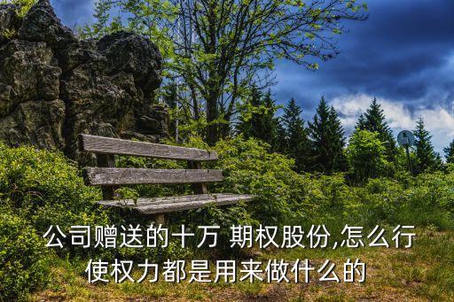  公司贈送的十萬 期權股份,怎么行使權力都是用來做什么的