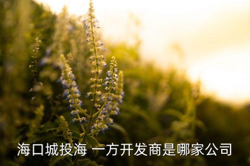 ?？诔峭逗?一方開發(fā)商是哪家公司