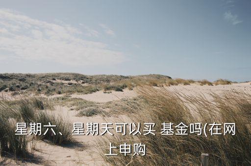 星期六、星期天可以買 基金嗎(在網上申購