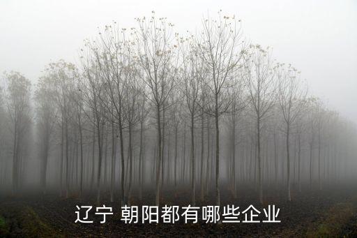 遼寧 朝陽都有哪些企業(yè)