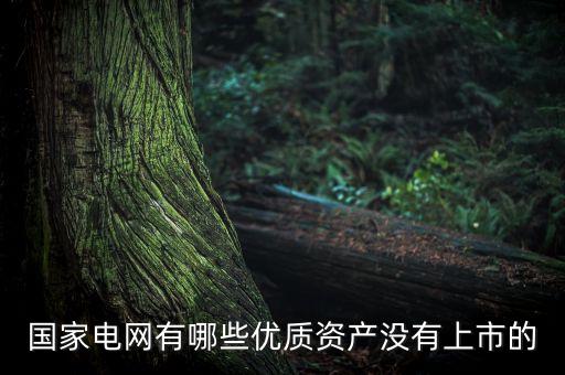 國家電網(wǎng)有哪些優(yōu)質(zhì)資產(chǎn)沒有上市的