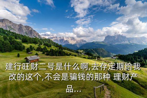 建行旺財二號是什么啊,去存定期給我改的這個,不會是騙錢的那種 理財產(chǎn)品...