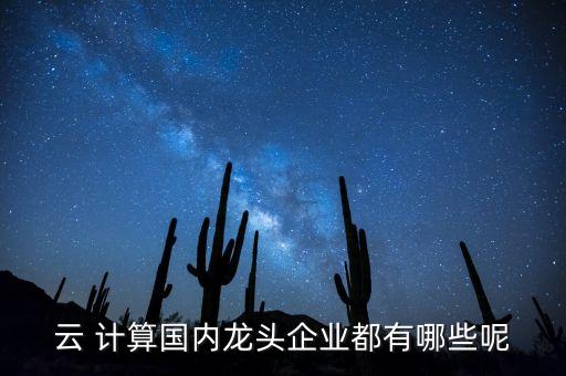 云 計算國內龍頭企業(yè)都有哪些呢