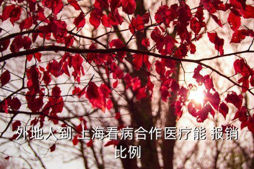 外地人到 上海看病合作醫(yī)療能 報(bào)銷比例