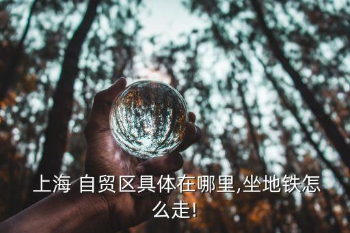 上海子自貿(mào)區(qū),上海自貿(mào)區(qū)什么時(shí)候開(kāi)始的