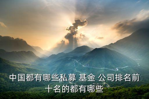 中國(guó)都有哪些私募 基金 公司排名前十名的都有哪些