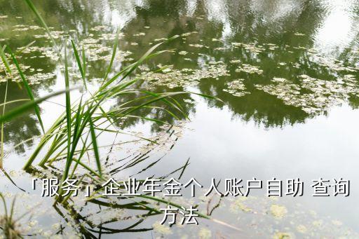 「服務(wù)」企業(yè)年金個人賬戶自助 查詢方法