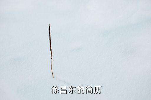  徐昌東的簡歷