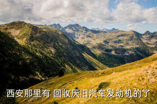 西安那里有 回收厭舊汽車(chē)發(fā)動(dòng)機(jī)的了