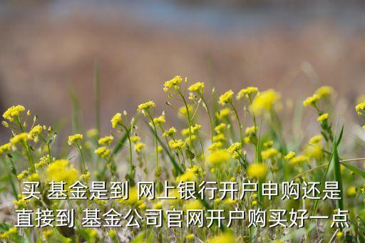 買 基金是到 網(wǎng)上銀行開戶申購還是直接到 基金公司官網(wǎng)開戶購買好一點