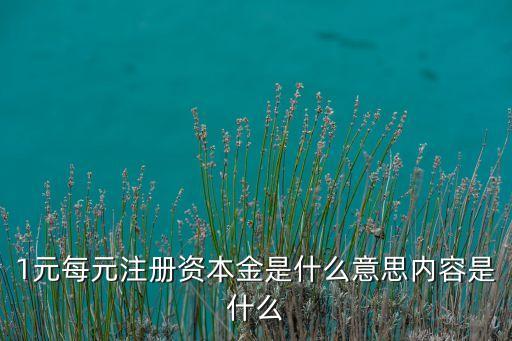 公司出資1元,公司注冊出資時間怎么填寫