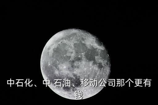 中石化、中 石油、移動(dòng)公司那個(gè)更有錢