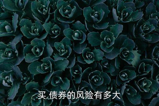 買(mǎi) 債券的風(fēng)險(xiǎn)有多大
