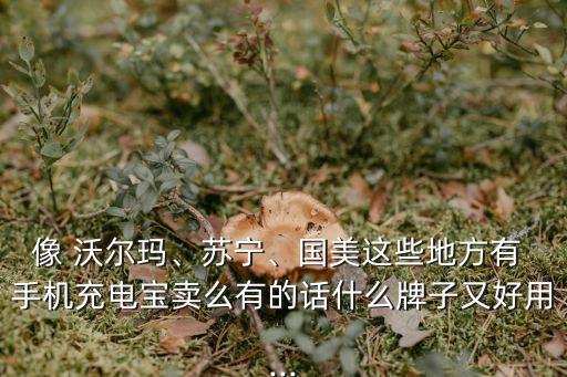 像 沃爾瑪、蘇寧、國美這些地方有 手機充電寶賣么有的話什么牌子又好用...