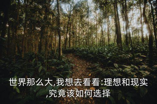 世界那么大,我想去看看:理想和現(xiàn)實(shí),究竟該如何選擇