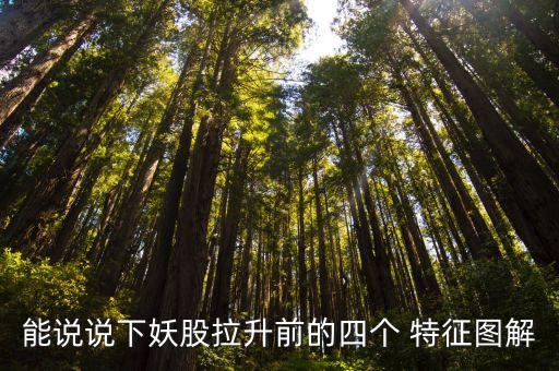 能說說下妖股拉升前的四個(gè) 特征圖解