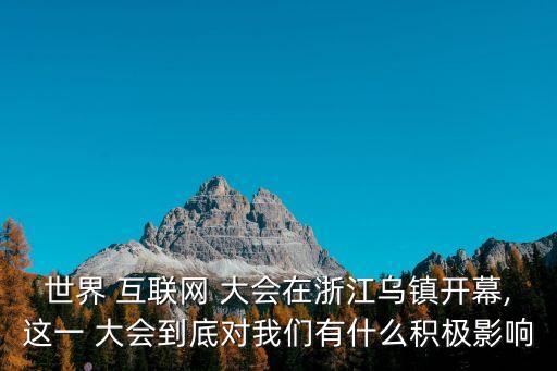 中國2014互聯(lián)網(wǎng)大會(huì)