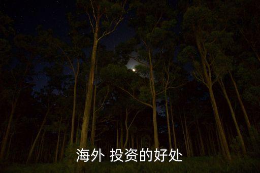 中國(guó)投資外國(guó)有什么好處,去外國(guó)投資需要辦理什么手續(xù)
