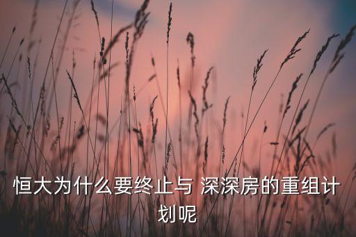 深深房集團網站,深免集團注入深深房