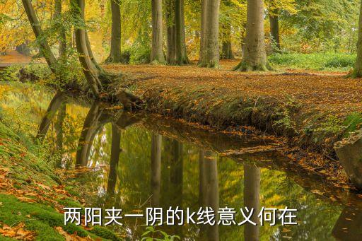 股票兩陰夾一陽(yáng),兩陰夾一陽(yáng)股票第二天走勢(shì)