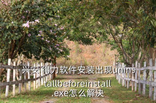  興安 得力軟件安裝出現(xiàn)uninstallbeforeinstall.exe怎么解決