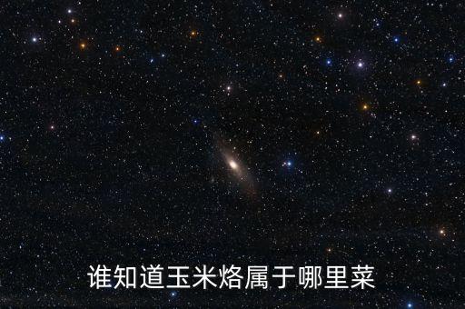 上海米盛化工材料,上?；げ牧吓l(fā)市場