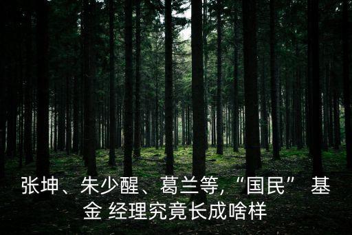 張坤、朱少醒、葛蘭等,“國民” 基金 經(jīng)理究竟長成啥樣