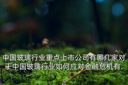 中國(guó)玻璃行業(yè)重點(diǎn)上市公司有哪幾家對(duì)于中國(guó)玻璃行業(yè)如何應(yīng)對(duì)金融危機(jī)有...