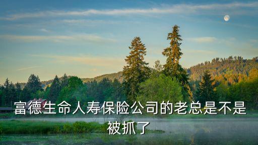 深圳富德集團(tuán)董事長,富德生命人壽集團(tuán)董事長