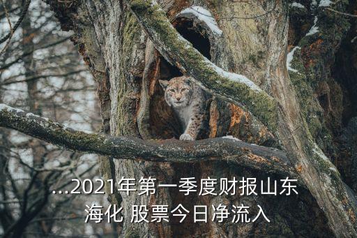 st?；善?海化股票歷史交易數(shù)據(jù)