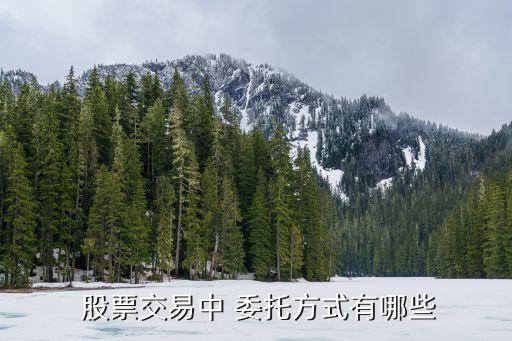 什么是股票委托買入,股票買入價(jià)格和我委托價(jià)不一樣