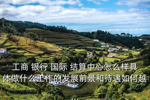 國際結(jié)算銀行