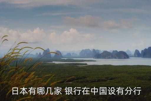  日本有哪幾家 銀行在中國設(shè)有分行
