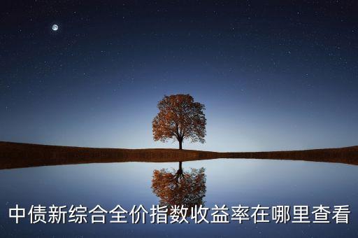 中國債務信息網(wǎng),中國產業(yè)信息網(wǎng)